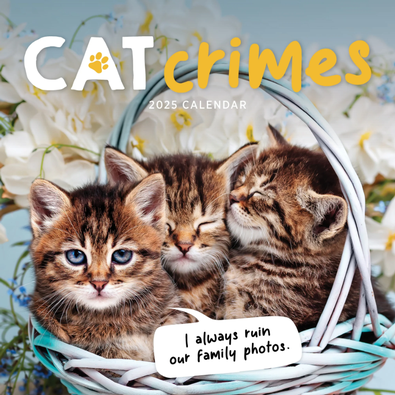 2025 Cat Crimes Calendar cover