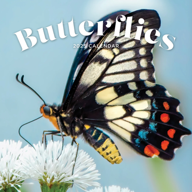 2025 Butterflies Calendar cover