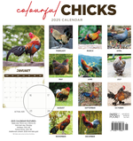 2025Colourful Chicks Calendar alternate 3