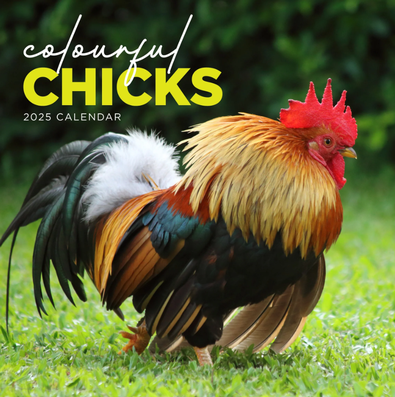 2025Colourful Chicks Calendar cover