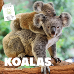 2025 Koalas Calendar thumbnail