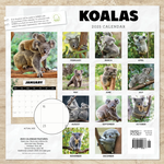 2025 Koalas Calendar alternate 3