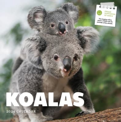 2024 Koalas Calendar cover