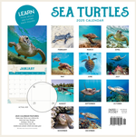 2025 Sea Turtles Calendar alternate 3