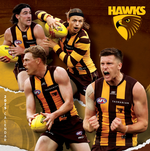 2025 AFL Hawthorn Hawks Calendar thumbnail