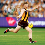 2025 AFL Hawthorn Hawks Calendar alternate 1