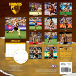 2025 AFL Hawthorn Hawks Calendar alternate 3