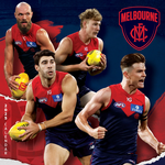 2025 AFL Melbourne Demons Calendar thumbnail