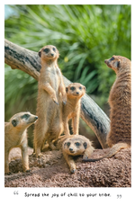 2025 A Meerkats Guide to Life Diary alternate 1