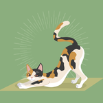 2025 Cat Yoga Calendar alternate 1