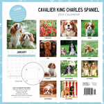 2025 Cavalier King Charles Spaniel Calendar alternate 3