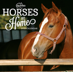 2025 Our Australia Horses at Home Calendar thumbnail