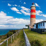 2025 Our Australia Lighthouses Calendar alternate 1