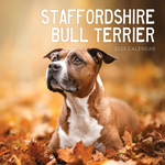 2025 Staffordshire Bull Terriers Calendar thumbnail