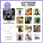 2025 Staffordshire Bull Terriers Calendar alternate 3