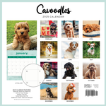 2025 Cavoodle Calendar alternate 3