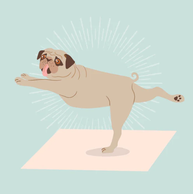 2024 Dog Yoga Calendar Isubscribe Com Au    Dog Yoga Calendar Sep 2023 1 