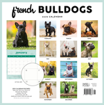 2025 French Bulldogs Calendar alternate 3