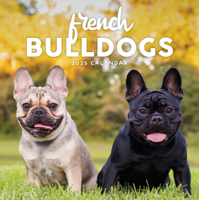 2025 French Bulldogs Calendar cover