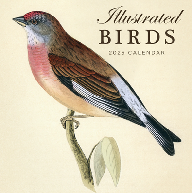 2025 Illustrated Birds Calendar cover