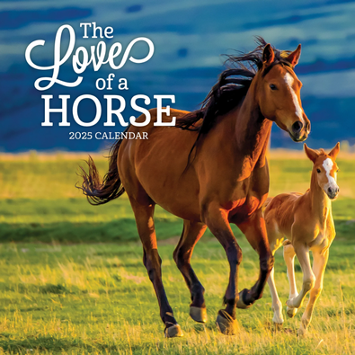 2025 The Love Of A Horse Calendar cover