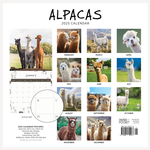 2025 Alpacas Calendar alternate 2