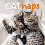 2025 Cat Naps Calendar thumbnail