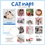 2025 Cat Naps Calendar alternate 1