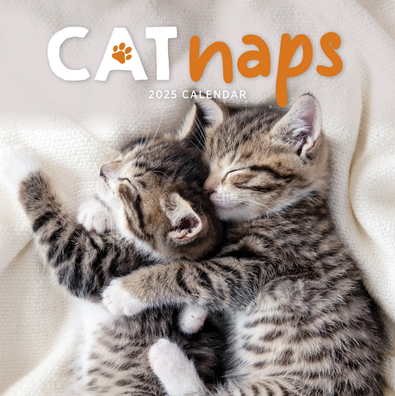 2025 Cat Naps Calendar cover