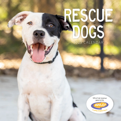 2025 Rescue Dogs Calendar cover