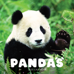 2025 Pandas Calendar thumbnail