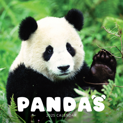 2025 Pandas Calendar cover