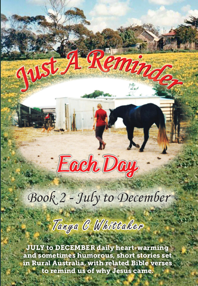 Just A Reminder Each Day -Book 2 -July to December cover