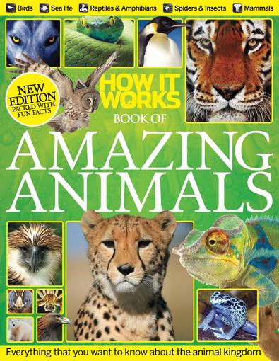 How It Works Book Of Amazing Animals Digital Subscription