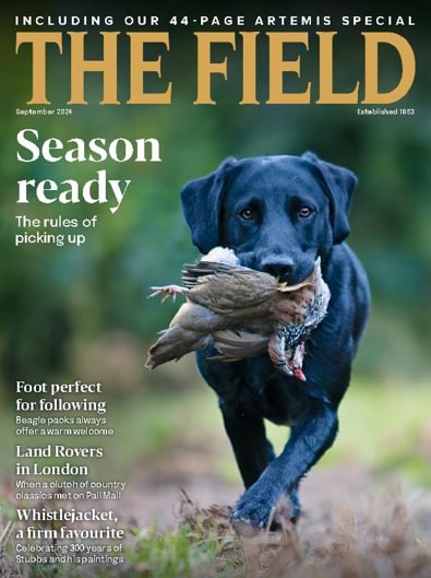 The Field digital cover