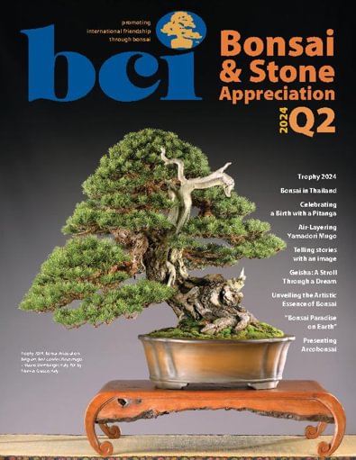 BCI Bonsai & Stone Appreciation Magazine digital cover